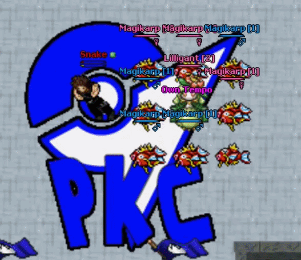Passiva Own Tempo